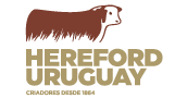 Hereford Uruguay