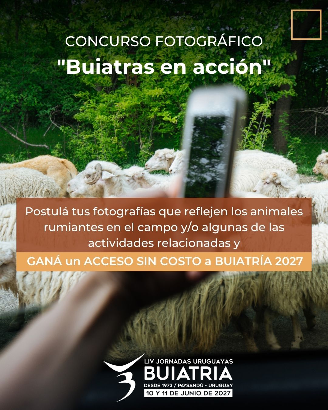 Concurso Fotográfico "Buiatras en acción" - 1ª Edición