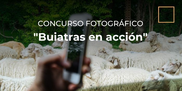 Concurso Fotográfico "Buiatras en acción" - 1ª Edición